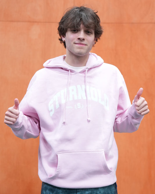 Sturniolo Surprise Party Collegiate Hoodie - Pink